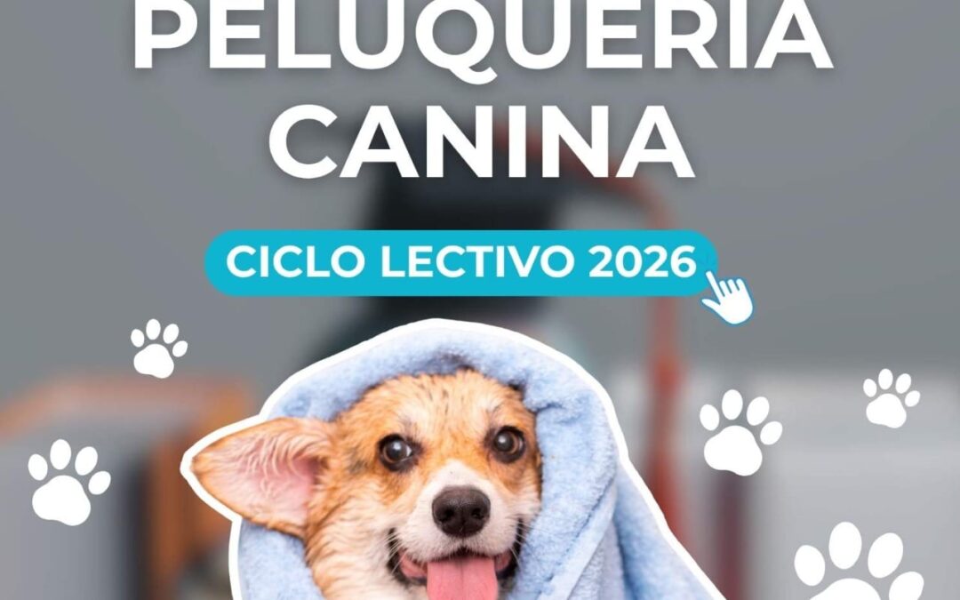 PELUQUERÍA CANINA